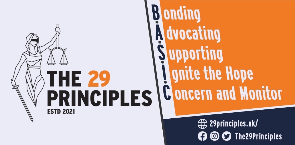 The 29 Principles Limited logo