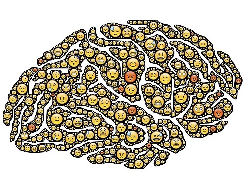 Représentation de la formation : Les clés pour la gestion du stress et des émotions