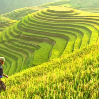 tourhub | Vio Travel | Best of North Vietnam 12 Days 