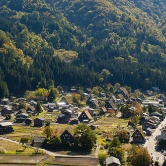 tourhub | Tweet World Travel | Japanese Alps - Snow Monkeys & Snow Corridor 