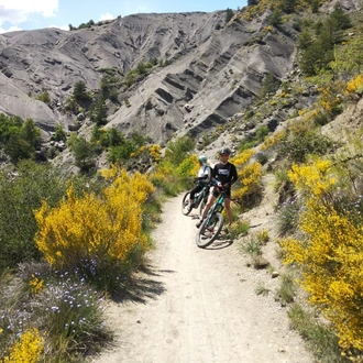 tourhub | Undiscovered Mountains | Alps to Provence E-mountain Bike Tour 