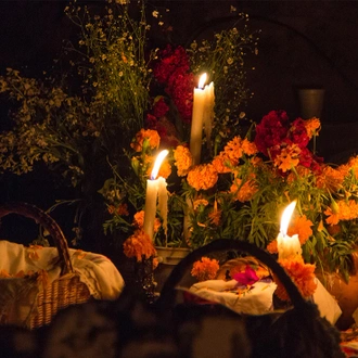 tourhub | Intrepid Travel | Mexico City: Day of the Dead Comfort 