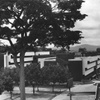Arieh Sharon, University of Ife, Library Exterior (Ife, Nigeria, 1966)