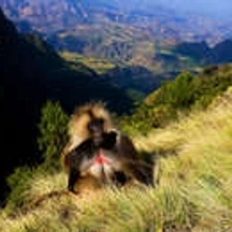 tourhub | Wild Frontiers | Ethiopia Encompassed 