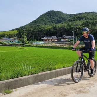 tourhub | Intrepid Travel | Cycle South Korea 