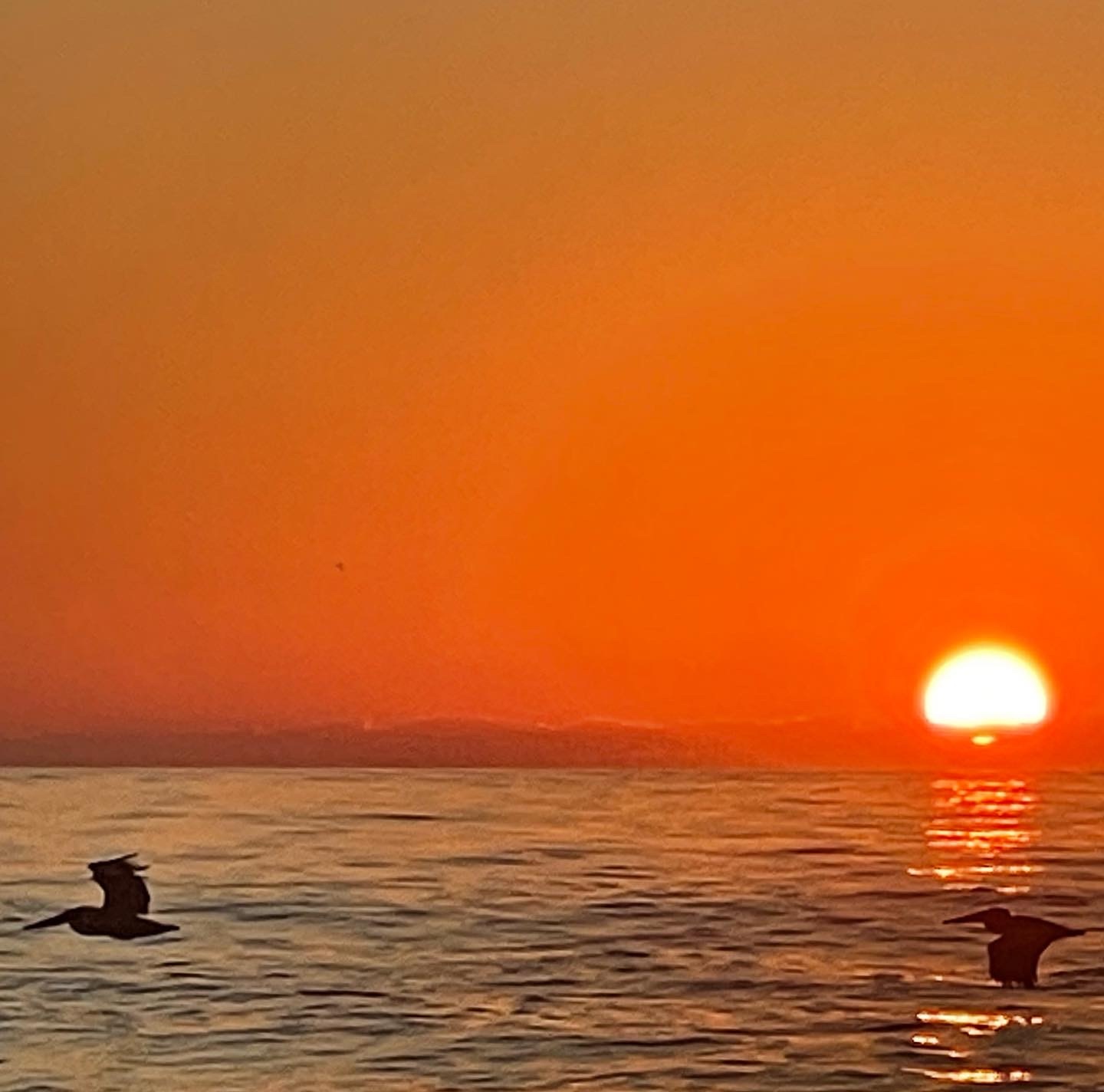 Power Boat Osprey Sunset Cruise