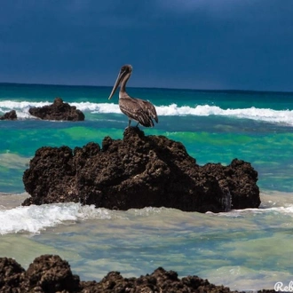 tourhub | Ecuador Galapagos Travels | 7 Days Enchanting Galapagos 