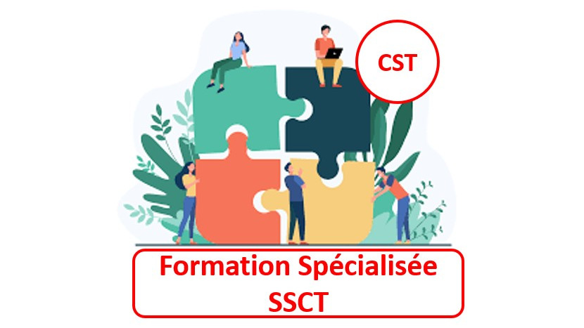 Représentation de la formation : 6-2-Formation des membres du CST et des membres de la F3SCT 