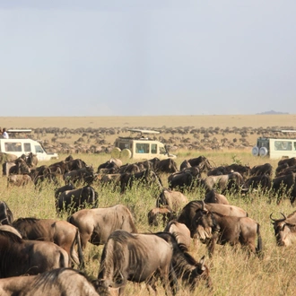 tourhub | Widerange African Safaris | Best 6 days Serengeti Migration Mara River Safari Tour Packages 