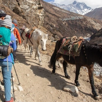 tourhub | Tweet World Travel | SCENIC EASY HIKE IN THE FOOTHILLS OF THE HIMALAYAS 