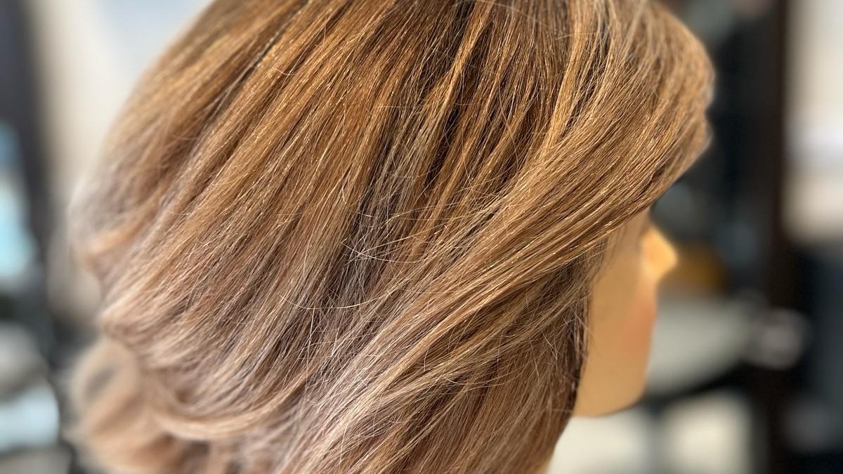 Représentation de la formation : PROFESSIONNELS: Technique OMBRE HAIR