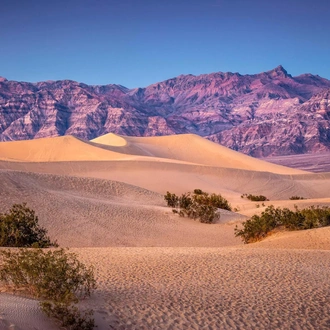 tourhub | Trafalgar | America's Great Desert National Parks End Phoenix 