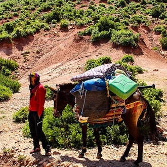 tourhub | Bamba Travel | Berber Villages Trek 4D/3N 