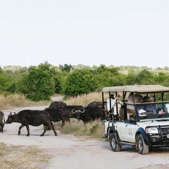 tourhub | Intrepid Travel | Botswana Highlights 