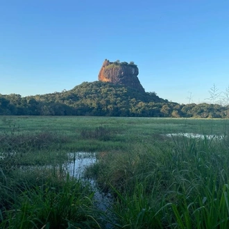 tourhub | King Coconut Holidays | Classic Tour in Sri Lanka (7Days) 