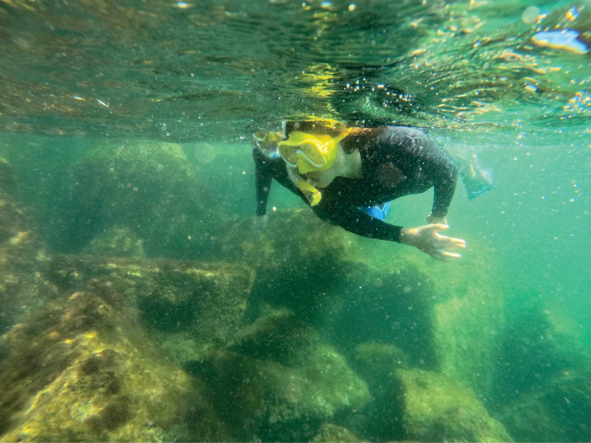 Discover Snorkeling Tour