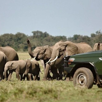 tourhub | Gracepatt Ecotours Kenya | 4 Days Masai Mara and Lake Nakuru Camping Safari on 4x4 Jeep 