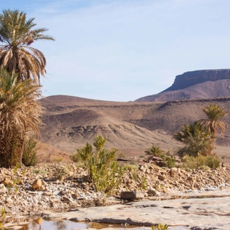 tourhub | Bamba Travel | Zagora Desert Camp 2D/1N 