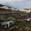 Tétouan Cemetery, Graves With City In Background [13] (Tétouan, Morocco, 2008)