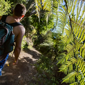 tourhub | G Adventures | Australia and New Zealand: Surfing & National Parks 