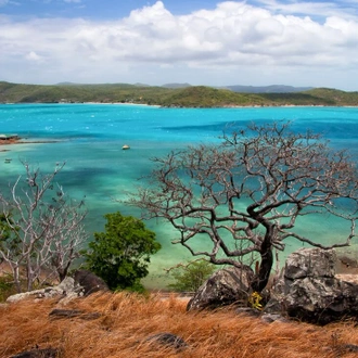 tourhub | Intrepid Travel | Cape York & Torres Strait Explorer 