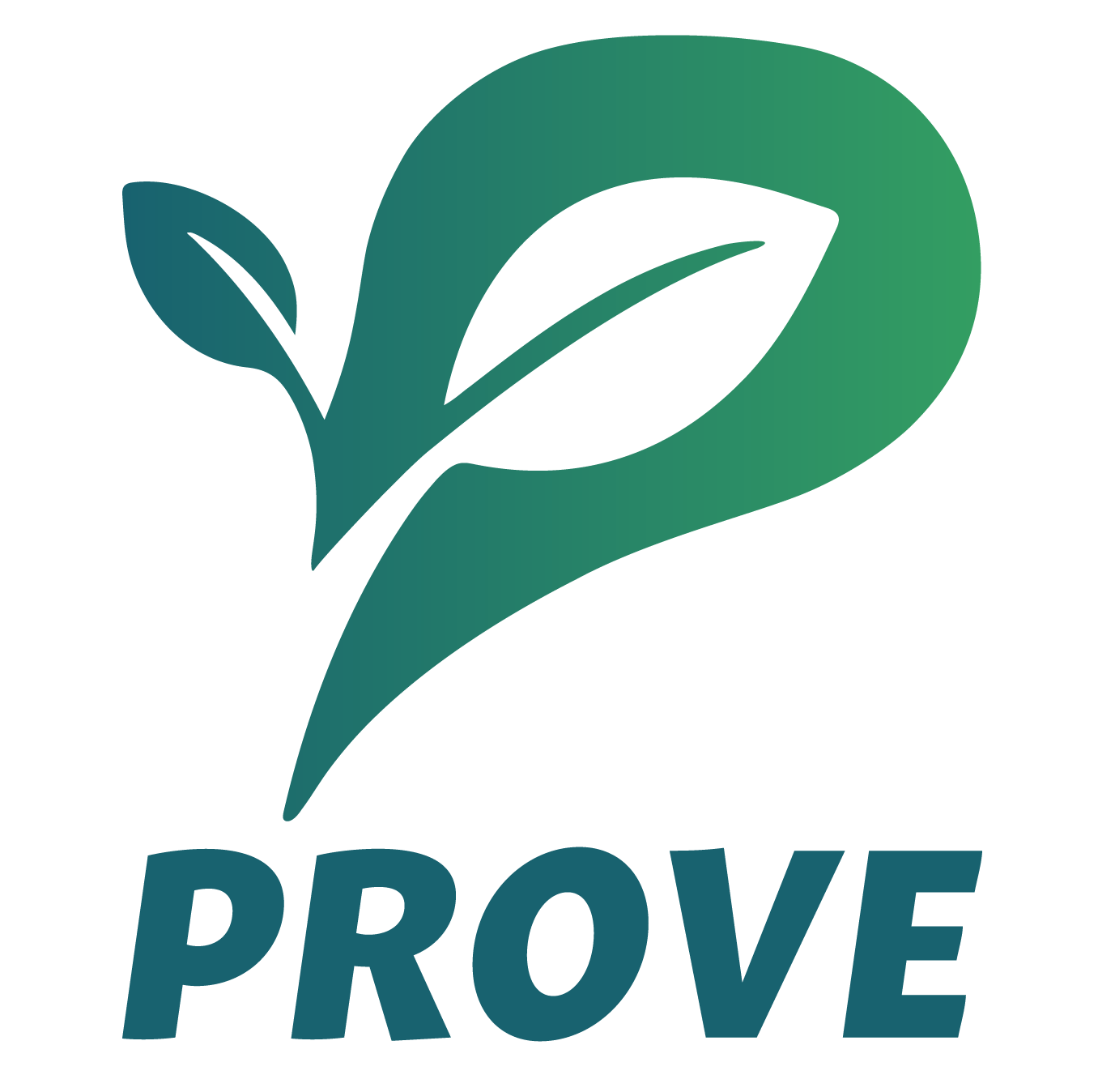Prove.hu logo