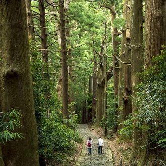 tourhub | Explore! | Walk Japan - Kumano Kodo Trail 