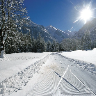 tourhub | Exodus Adventure Travels | Cross-country Skiing in Kandersteg 