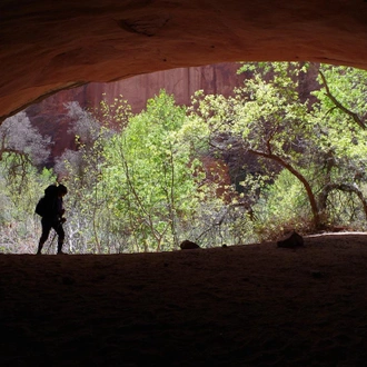 tourhub | Intrepid Travel | Hiking and Backpacking Utah's Coyote Gulch		 