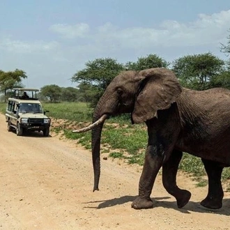 tourhub | Gracepatt Ecotours Kenya | Private 10 Days Best of Kenya Wildlife Safari Holiday 