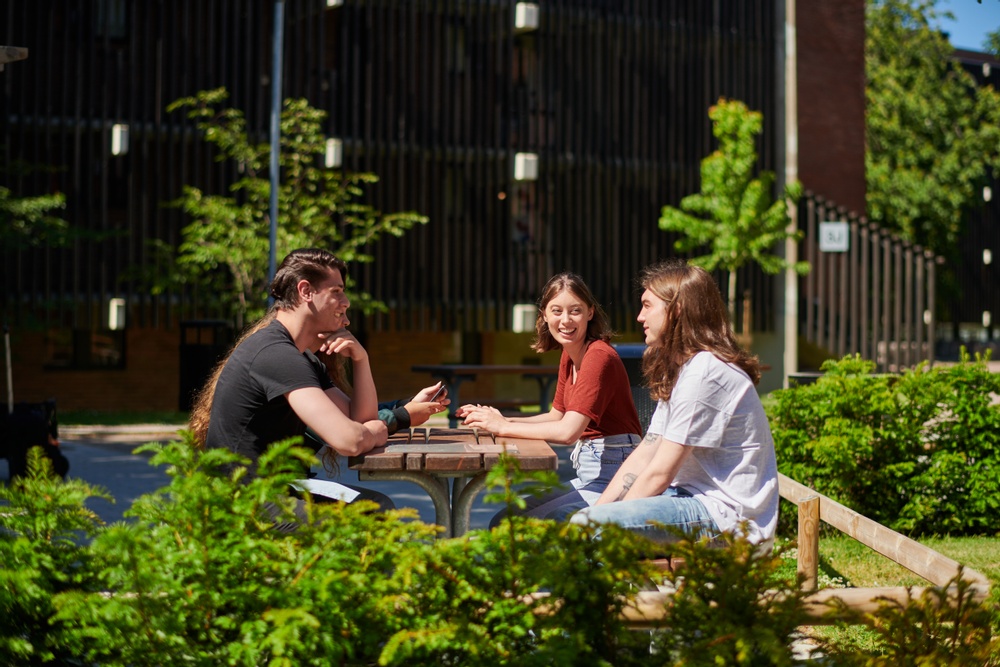 Fyra studenter sitter utomhus på en träbänk på Vildanden. 