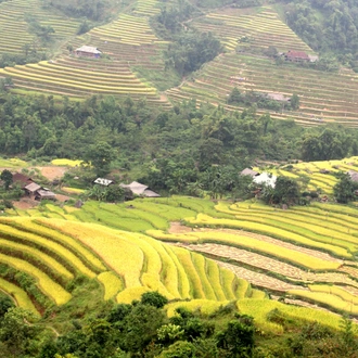 tourhub | Mr Linh's Adventures | Discover Hagiang 4 days 3 nights 