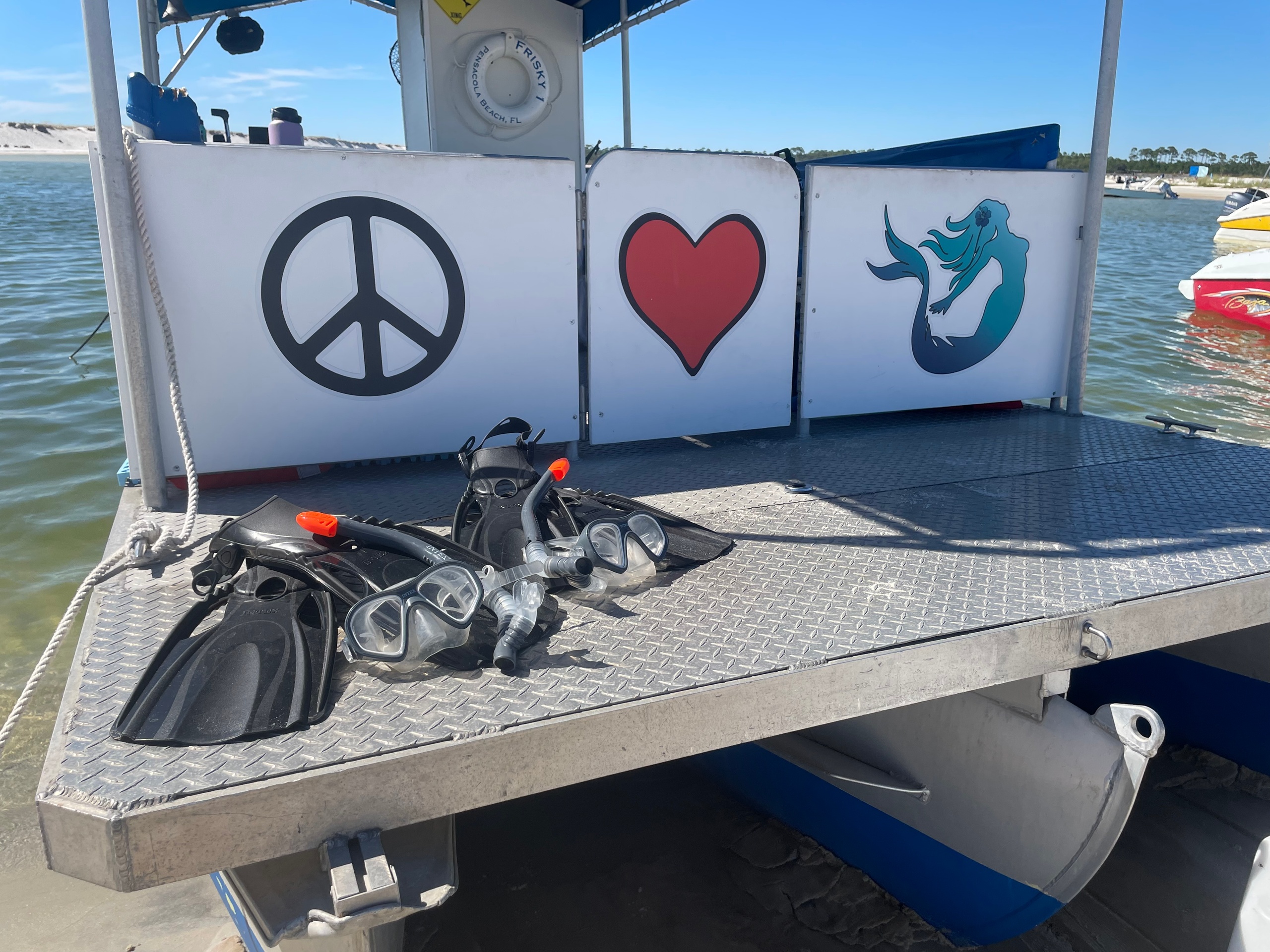 Snorkel Stop + Dolphin Cruise + Equipment