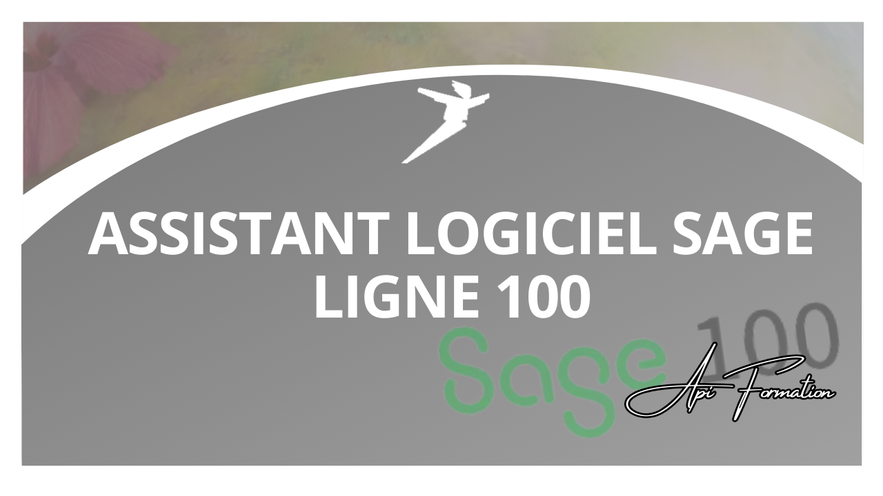 Représentation de la formation : ASSISTANT LOGICIEL SAGE LIGNE 100 