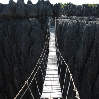 tourhub | Fosa Travel | Discover the Unique in Madagascar - Lemurs, Baobabs, Tsingy 