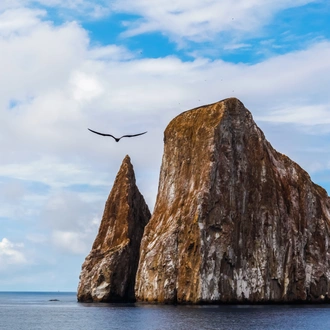 tourhub | Exodus Adventure Travels | Galapagos: In Darwin's Footsteps 