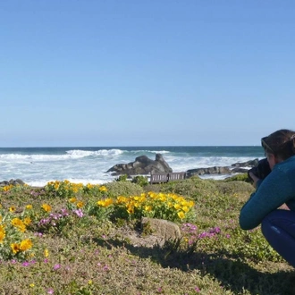 tourhub | HoneyBadger Travel & Tours | South Africa Flower Safari Namaqualand & West Coast 