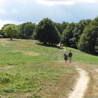 tourhub | UTracks | St Francis Way: Chiusi to Città di Castello 