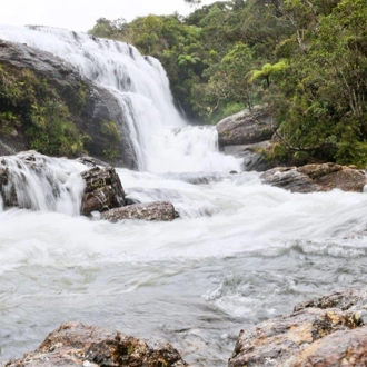 tourhub | Aitken Spence Travels | Professional Birding Tour - Free Upgrade to Private Tour Available 