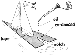 sailboat footprint craft
