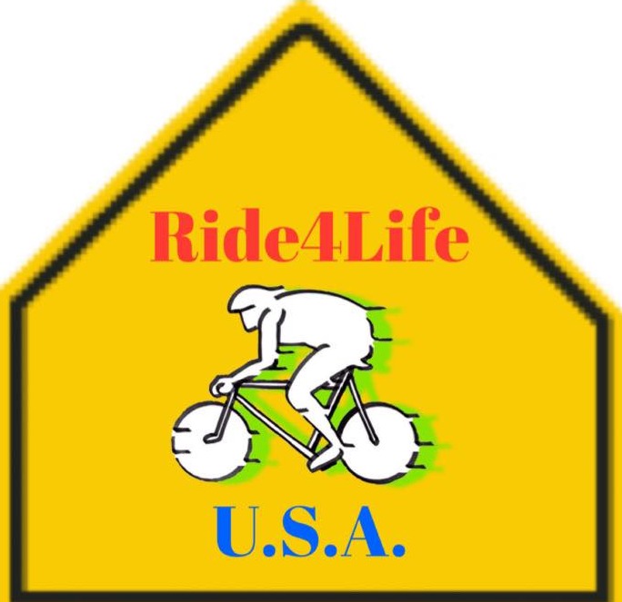 Rex ShadesEagle Inc logo