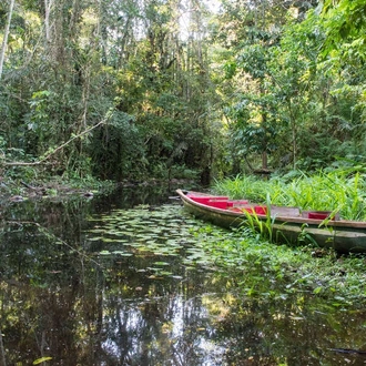 tourhub | Explore! | Ecuador - Andes to Amazon 