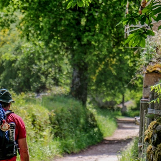 tourhub | Exodus Adventure Travels | Camino de Santiago Trek 