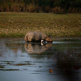 tourhub | Go Book Tours | Best of India & Sri Lanka Wildlife Photography Tour 