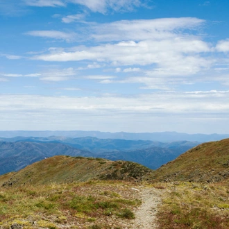 tourhub | Intrepid Travel | Walk Victoria's High Country 