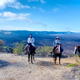 tourhub | Latin Adventures | Galapagos 6-Day Hotel-Based Tour in Isabela & Santa Cruz 