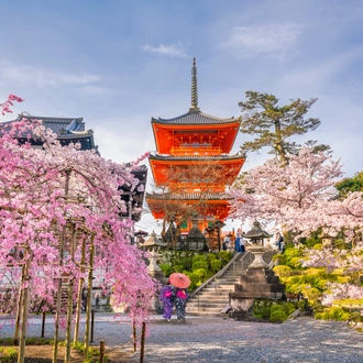 tourhub | Exodus Adventure Travels | Walk the Kumano Kodo 