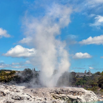 tourhub | Intrepid Travel | Premium New Zealand North Island 