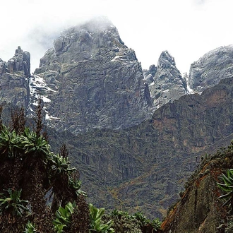 tourhub | Trek Rwenzori Tours | Rwenzori Mountain Uganda 