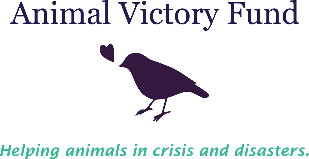 Animal Victory Disaster & Abuse Fund logo